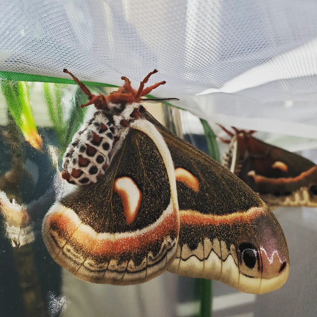 Two females hanging out!