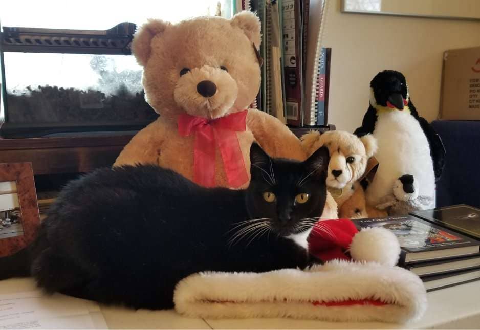 Baloo and Xmas gifts